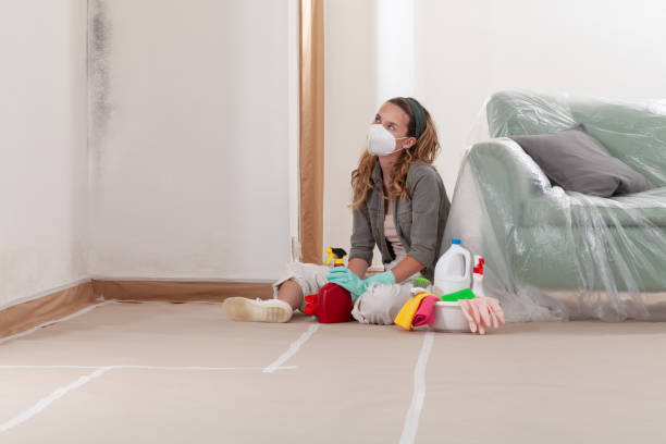 Reliable Commercial Mold Remediation contractor in Succasunna, NJ by WQB Mold Removal